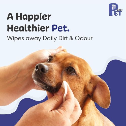 P for PET Grooming Wet Wipes โ Antibacterial & Deodorizing Wipes for Dogs, Cats & All Pets (100 pcs) P for PET Grooming Wet Wipes โ Antibacterial & Deodorizing Wipes for Dogs, Cats & All Pets (100 pcs)