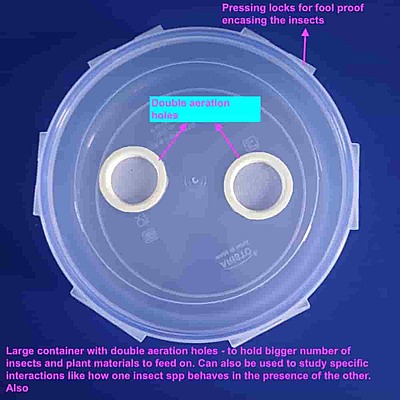 Insect Rearing Container Large 3lit with Double Aeration Holes and Secure Locking Lid Insect Rearing Container Large 3lit with Double Aeration Holes and Secure Locking Lid