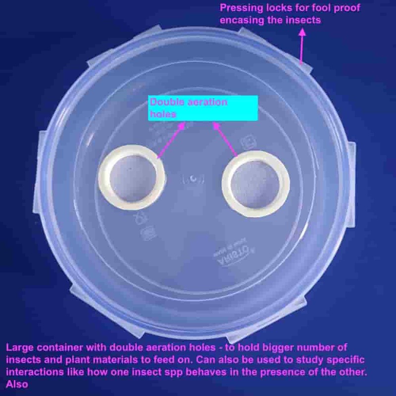 Insect Rearing Container Large 3lit with Double Aeration Holes and Secure Locking Lid Insect Rearing Container Large 3lit with Double Aeration Holes and Secure Locking Lid