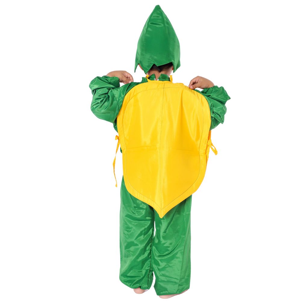 Papaya Fancy Dress Fruit Costume