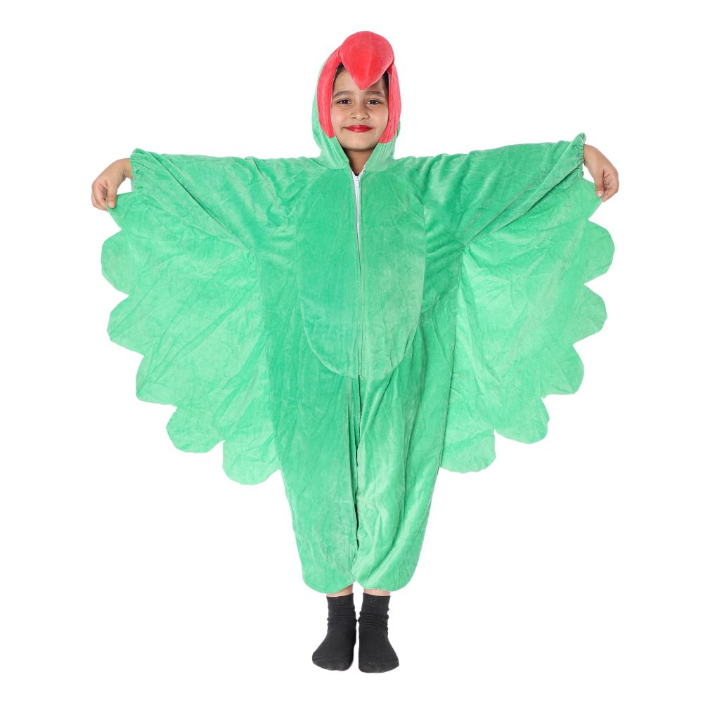 Parrot Fancy Dress Costume Parrot Fancy Dress Costume