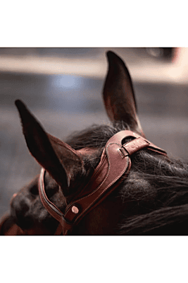 CWD Flex Motion Bridle CWD Flex Motion Bridle