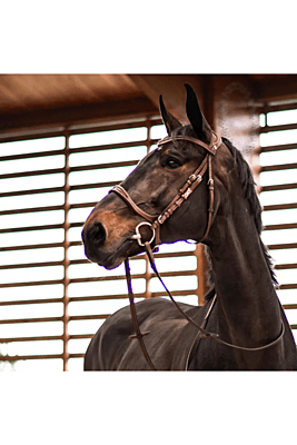 CWD Flex Motion Bridle CWD Flex Motion Bridle