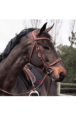 CWD Flex Motion Bridle CWD Flex Motion Bridle