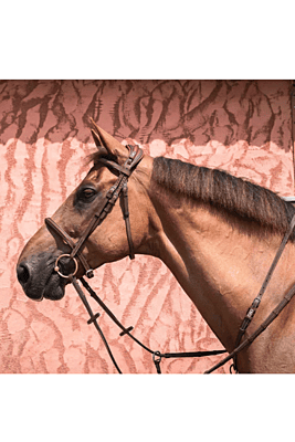 CWD French Nose Band Bridle CWD French Nose Band Bridle