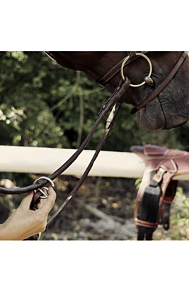 CWD Raised Elastic Martingale Attachment CWD Raised Elastic Martingale Attachment
