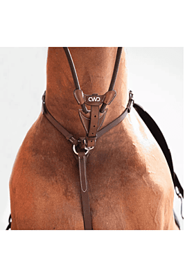 CWD Raised Elastic Martingale Attachment CWD Raised Elastic Martingale Attachment