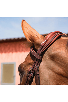 CWD Figure 8 Bridle CWD Figure 8 Bridle