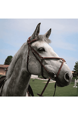 CWD Figure 8 Bridle CWD Figure 8 Bridle