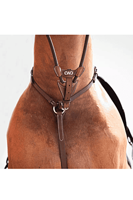 CWD Elastic Running Martingale CWD Elastic Running Martingale