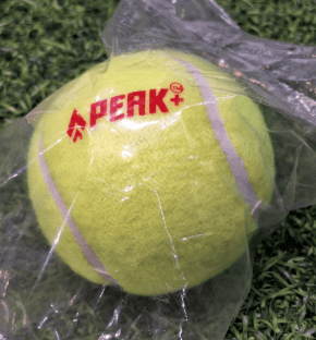 CRICKET BALL SPEARHEAD CRICKET BALL SPEARHEAD
