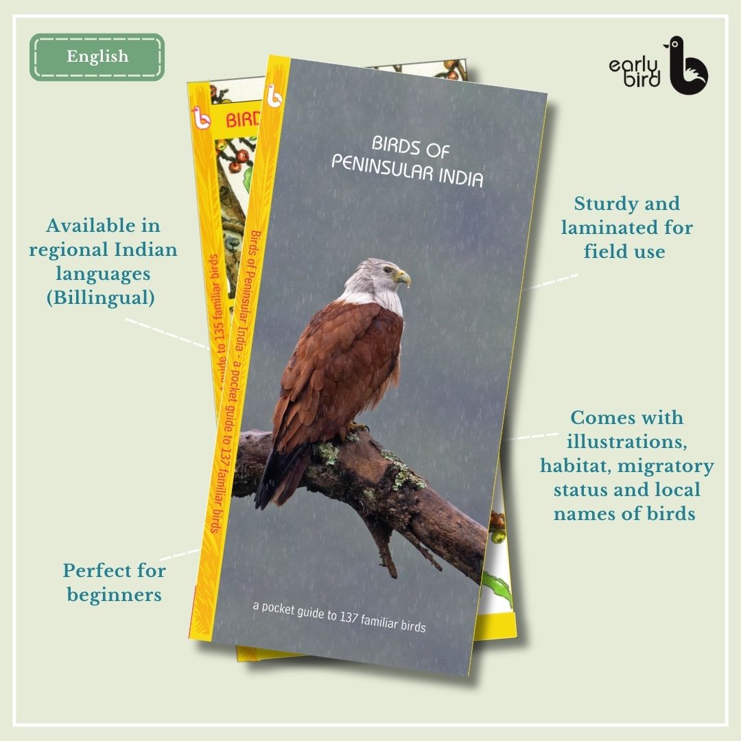 Early Bird Pocket Guides Early Bird Pocket Guides