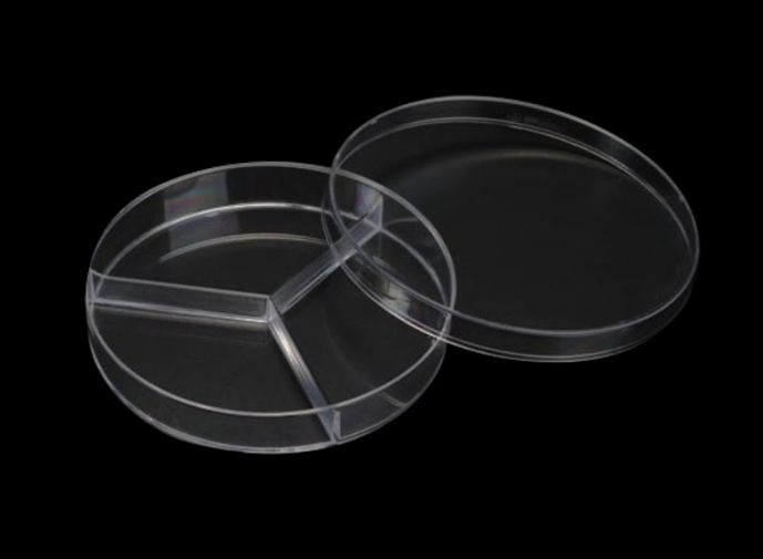 Petridish Petridish