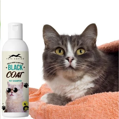 Pets Empire Cat Shampoo - Black Coat Cleanser for Kittens & Cats (200ml) Pets Empire Cat Shampoo - Black Coat Cleanser for Kittens & Cats (200ml)