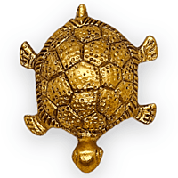 Tortoise With Plate
