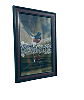 Beautifully photographed in their natural habitat and elegantly framed Magpie-robins or Shama in the wild || wildlife photograhy || Professionally captured photo || bird in a frame || home décor Beautifully photographed in their natural habitat and elegantly framed Magpie-robins or Shama in the wild || wildlife photograhy || Professionally captured photo || bird in a frame || home décor