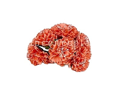 Carnations on Stick - Peach Carnations on Stick - Peach