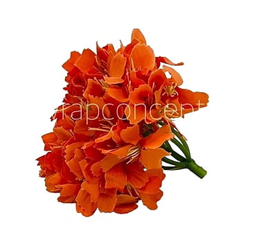 Orange French Hydrangeas