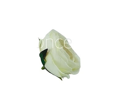 Camellia Flower - White with Maroon Centre Camellia Flower - White with Maroon Centre