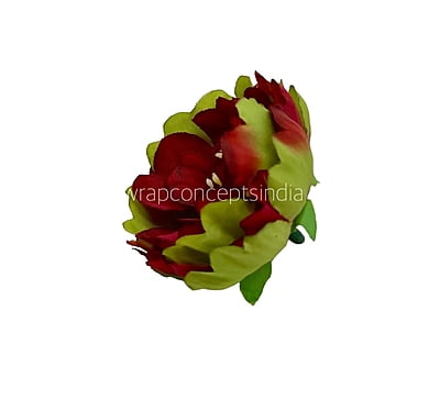 Red Peony Buds Red Peony Buds
