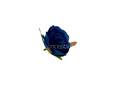 Navy Blue Camellia Flower