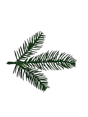 Trio Pine Tree Leaves