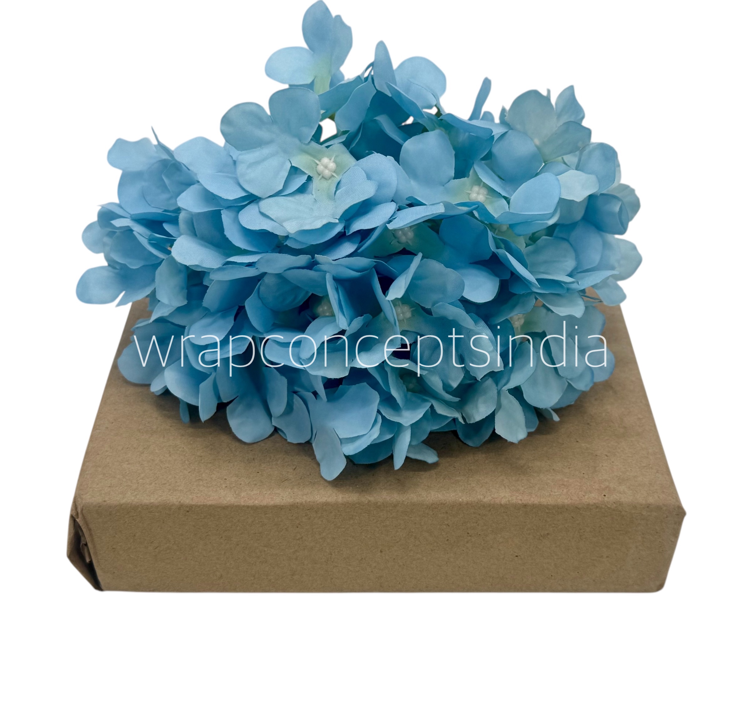 Sky Hydrangeas