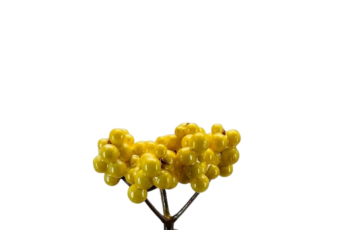 Yellow Small Fern Yellow Small Fern