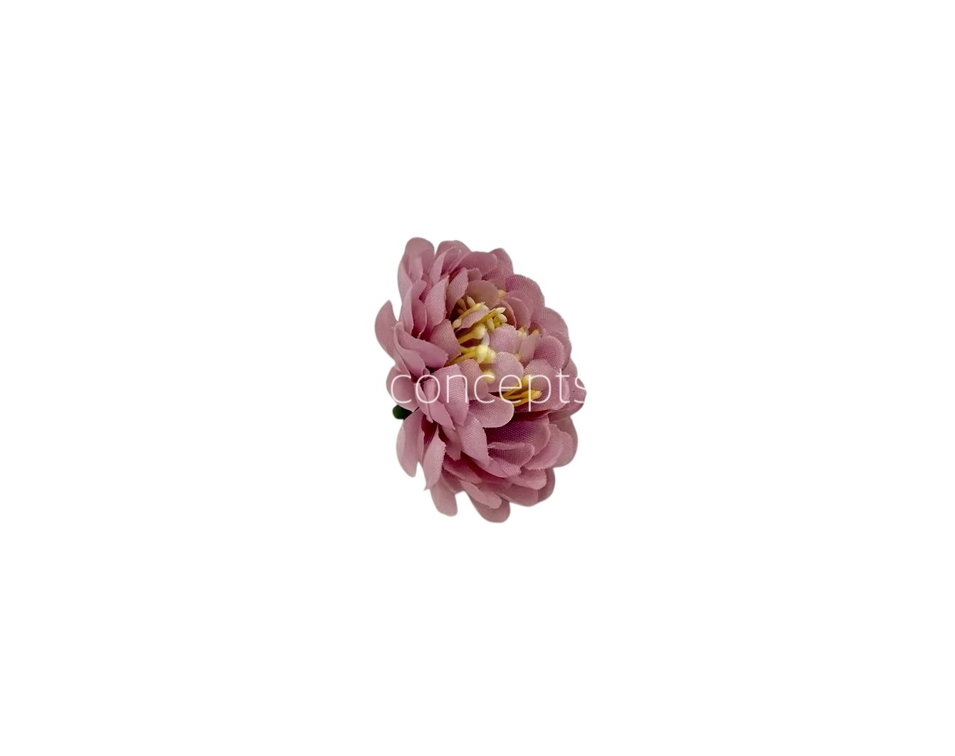 Dusky Mauve Small Dahlias Dusky Mauve Small Dahlias