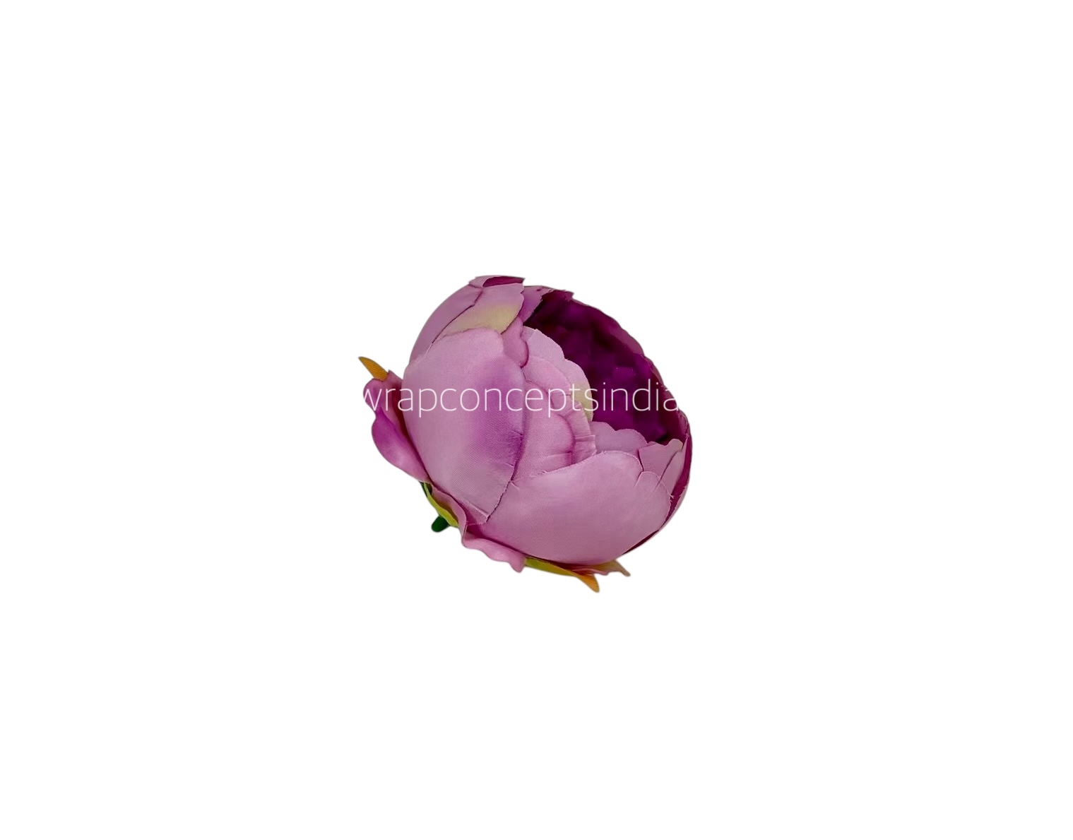 Peony - Orchid with Violet Peony - Orchid with Violet