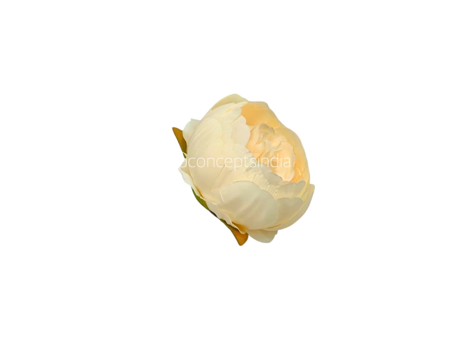Peony - Cream Yellow Peony - Cream Yellow