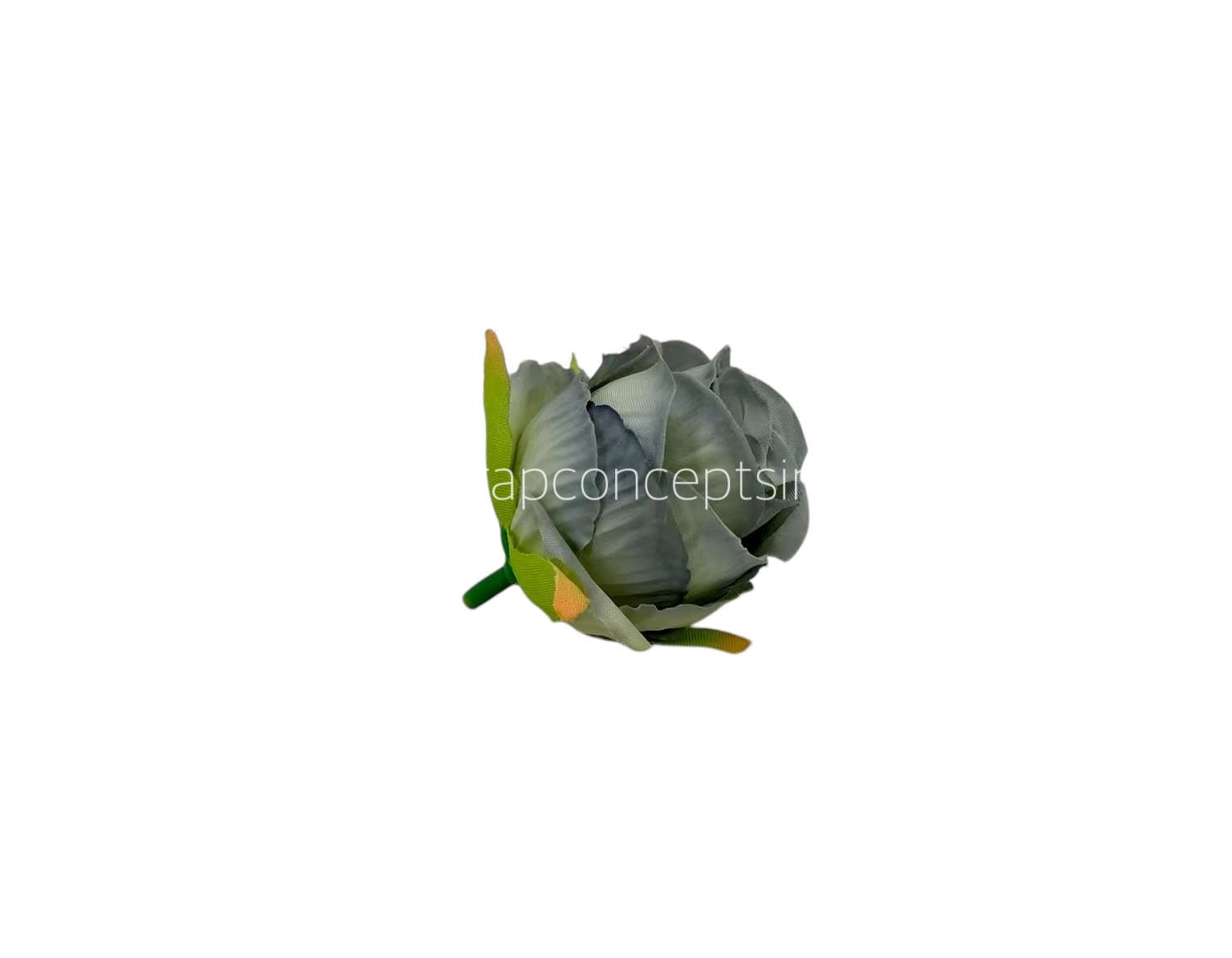 Grey Rose Buds Grey Rose Buds
