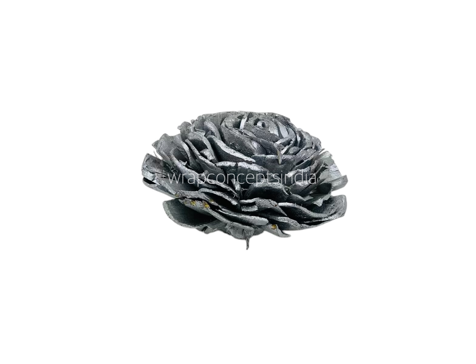 Silver Sola Wood Wesley Silver Sola Wood Wesley
