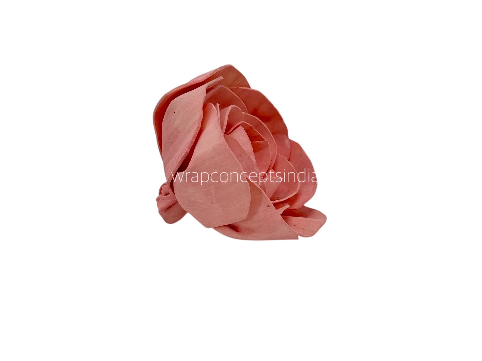 Pink Sola Wood Dear Holly Pink Sola Wood Dear Holly