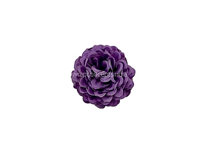 Dark Puple Green Carnation Dark Puple Green Carnation
