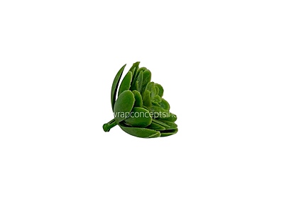 Faux Sucullent - Light Green Faux Sucullent - Light Green