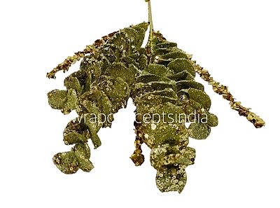 Glitter Eucalyptus - Multicolor Glitter Eucalyptus - Multicolor
