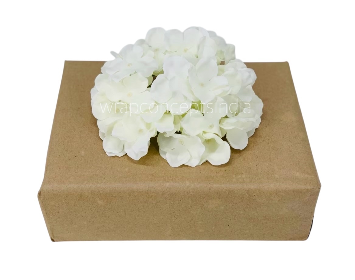 White Hydrangeas White Hydrangeas