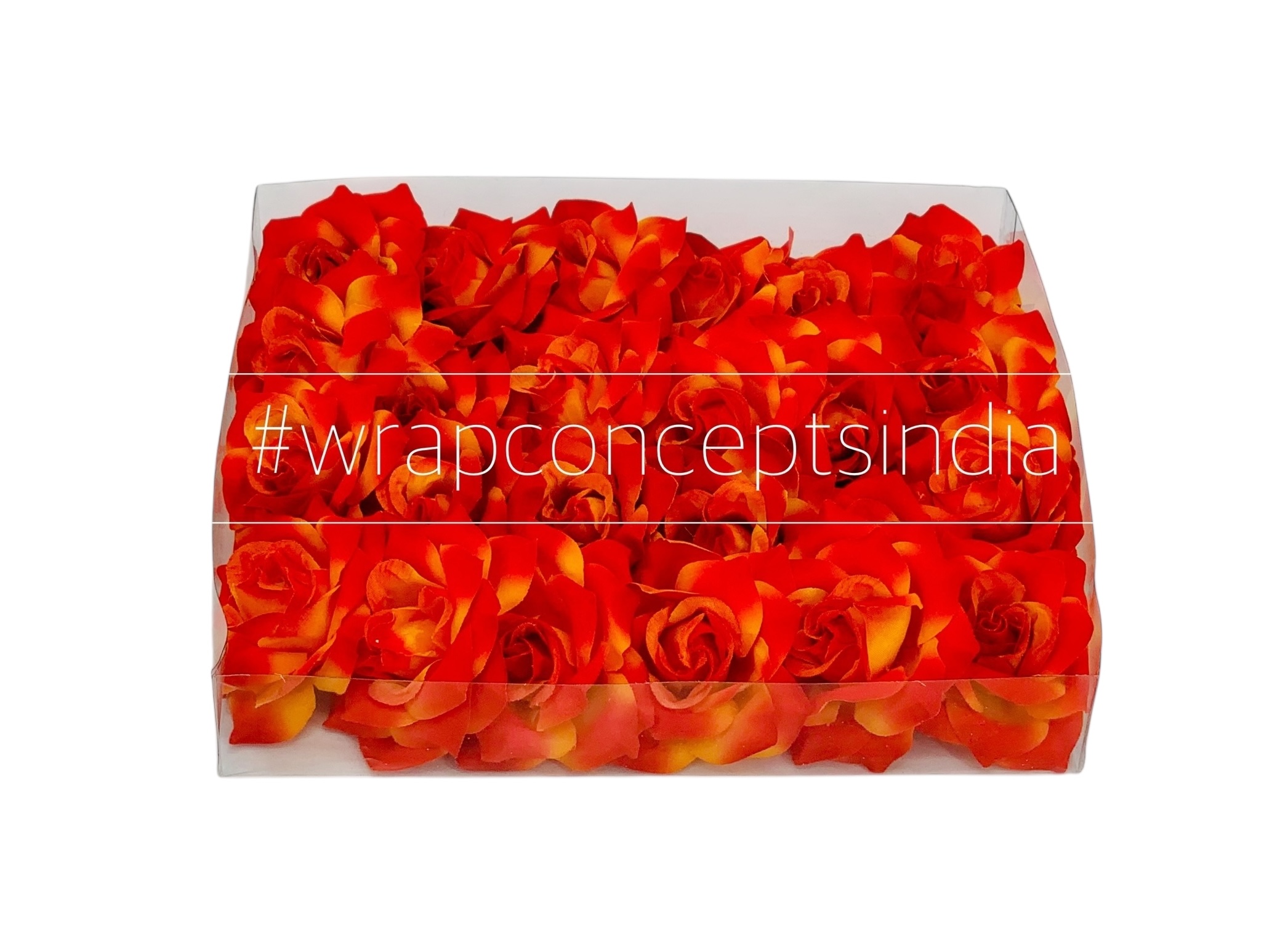 Rose-Burnt Orange Rose-Burnt Orange