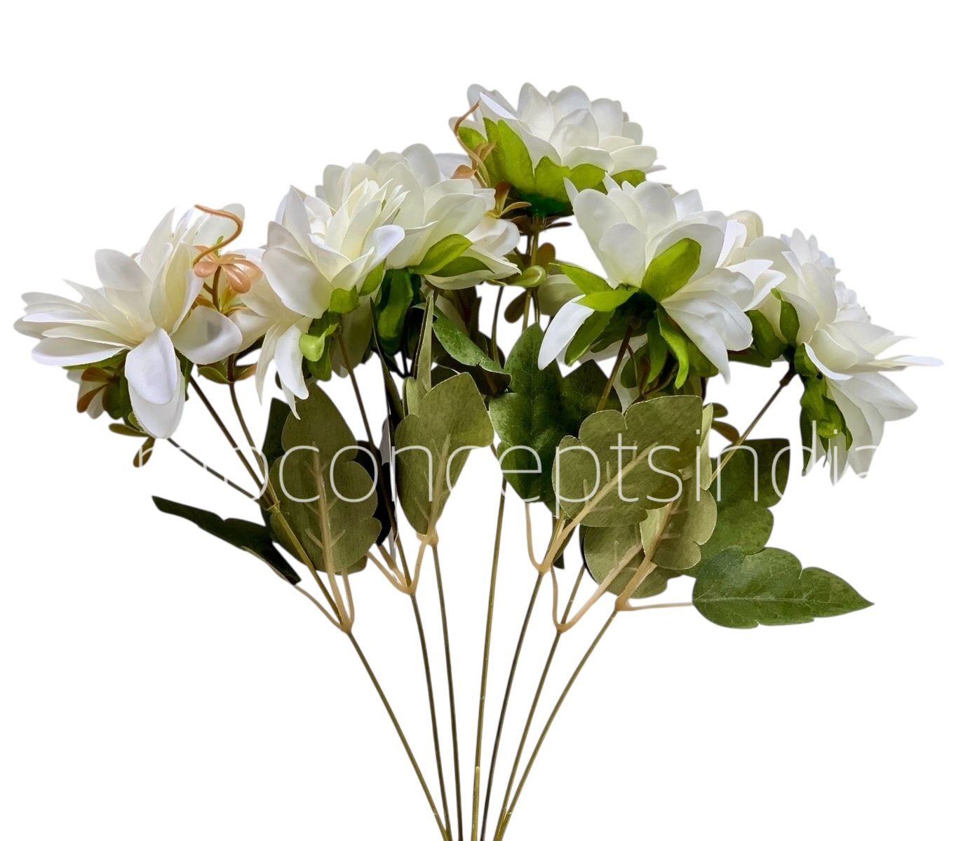 Dahlia Bunch with Leaves