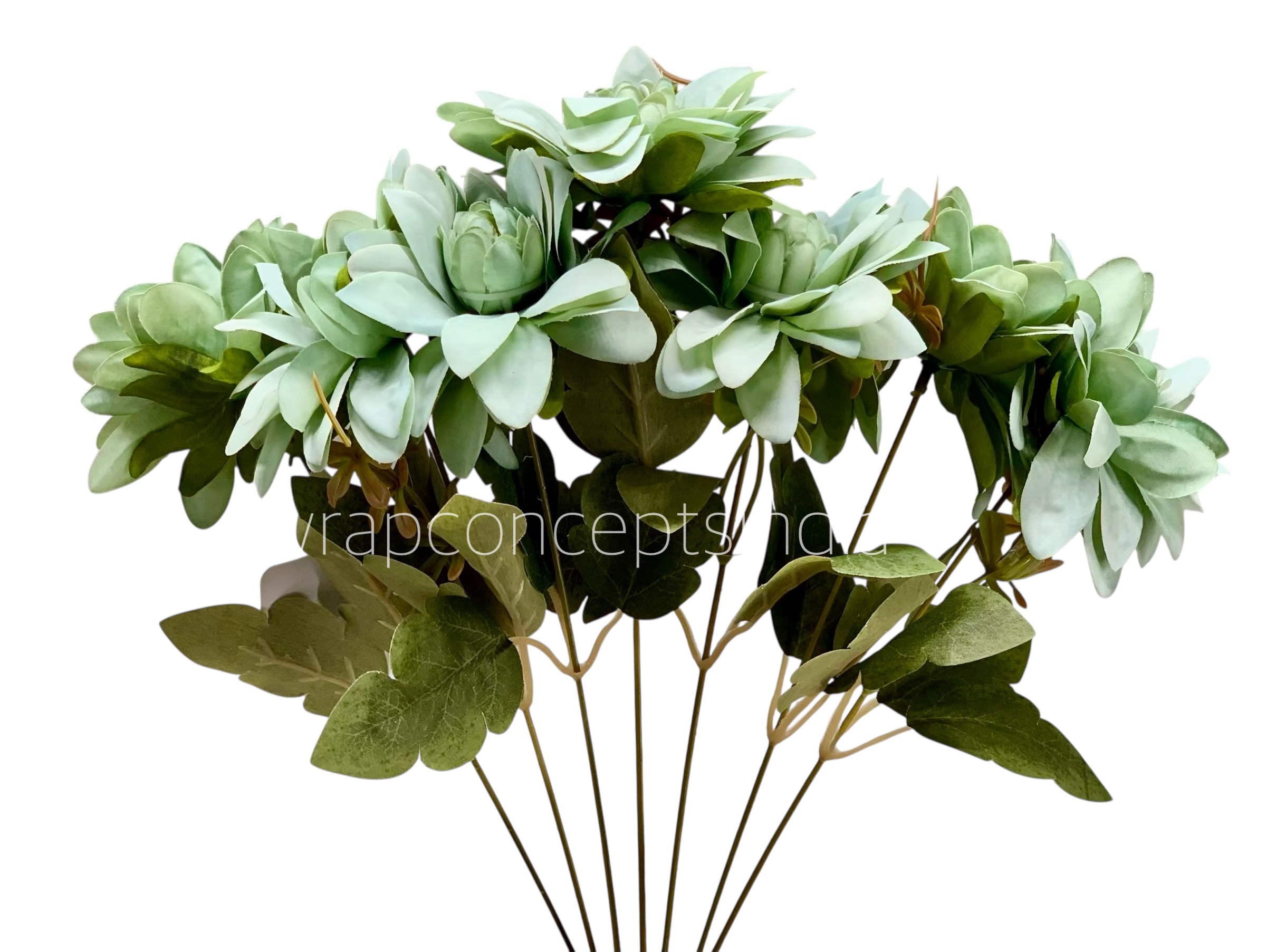 Dahlia Bunch with Leaves
