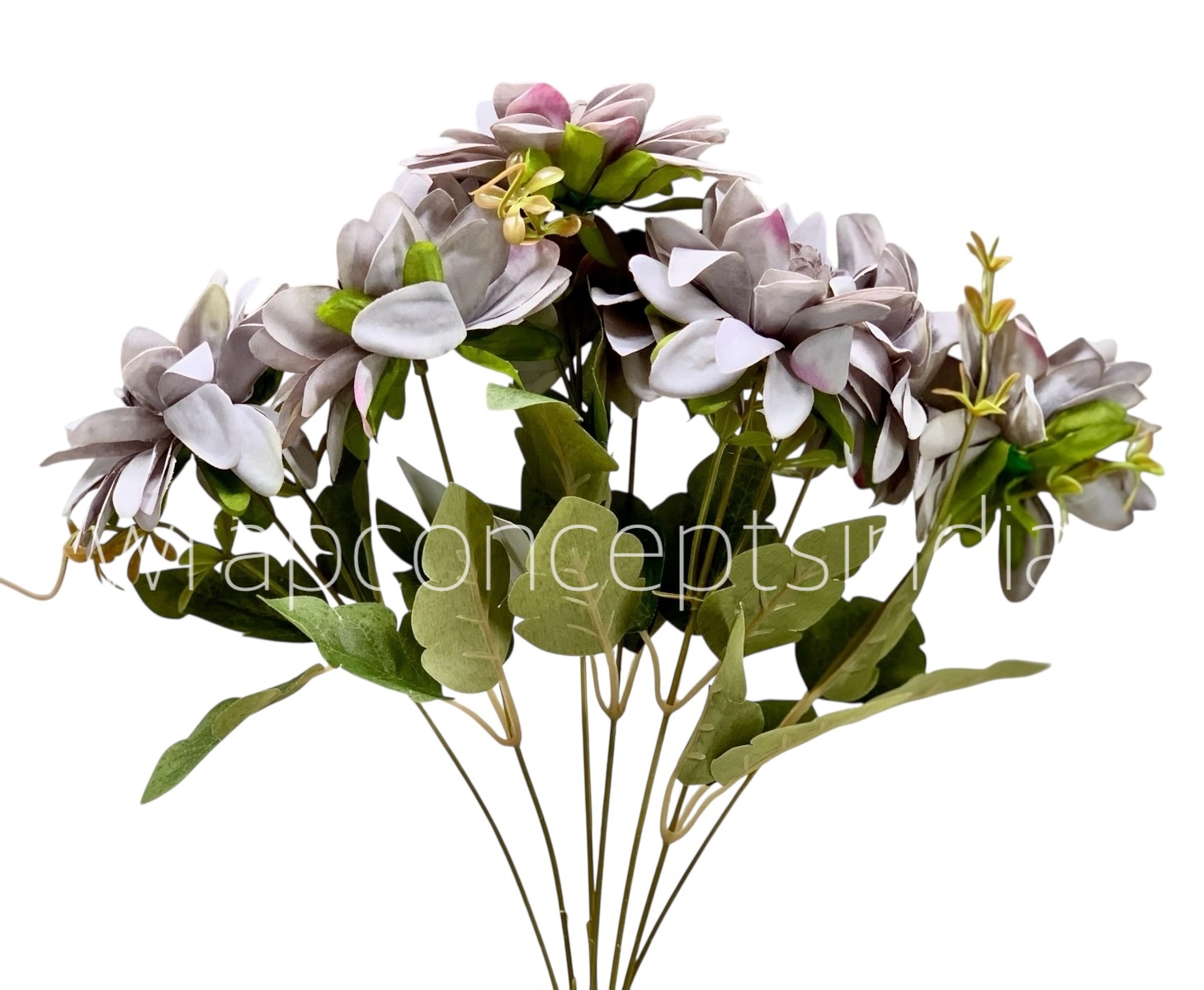 Dahlia Bunch with Leaves