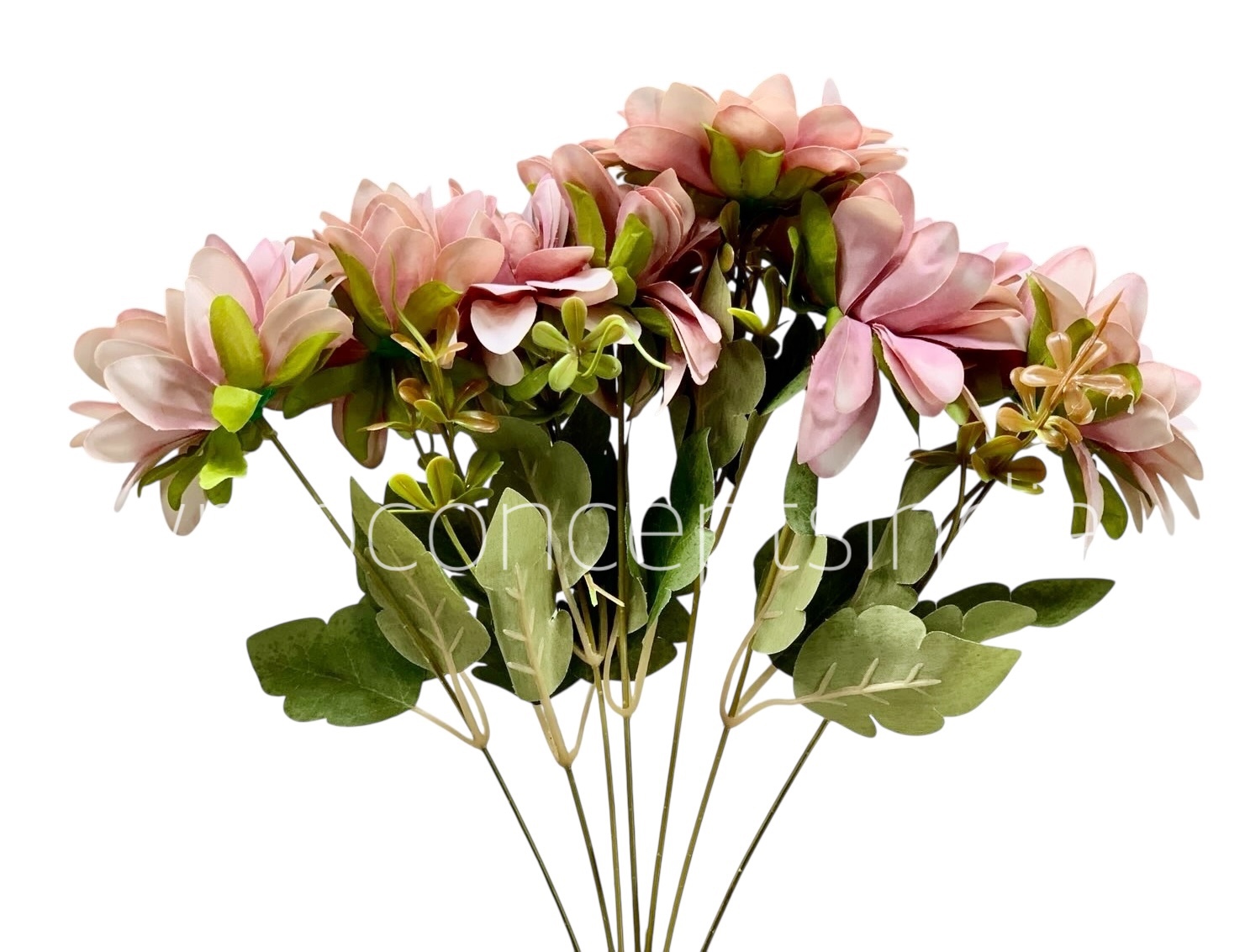Dahlia Bunch with Leaves