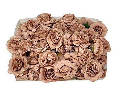Tawny Shrub Rose