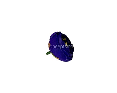 Small Peony- Cadbury Purple