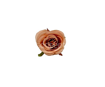 Rose-W-6191-Blush (22) Rose-W-6191-Blush (22)