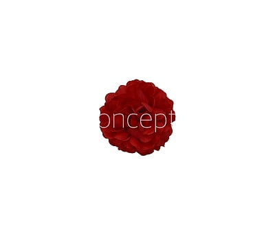 Small Carnation - Red Small Carnation - Red