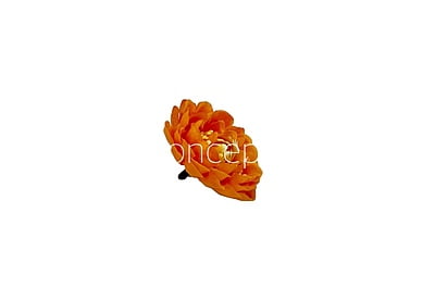 Marmalade Small Dahlias