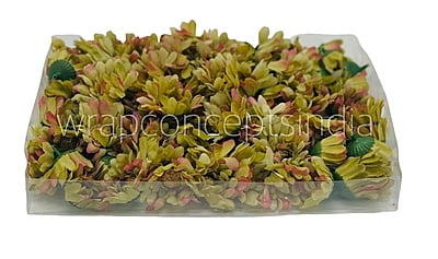 Daisy Flower-Pistachio Green with hints of Pink Daisy Flower-Pistachio Green with hints of Pink