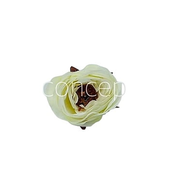 Camellia Flower - White with Maroon Centre Camellia Flower - White with Maroon Centre